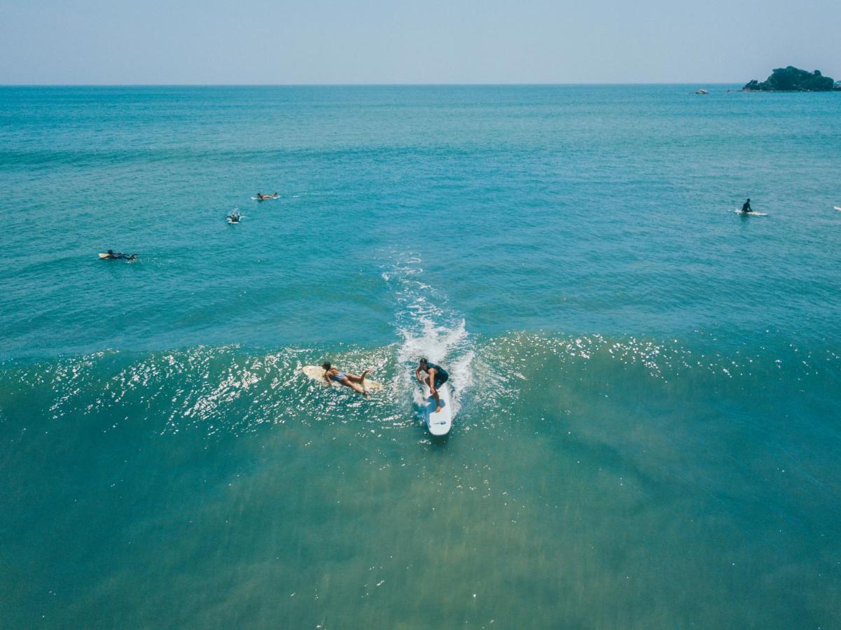 The Surfer Sri Lanka - Surf Camp Hotel Weligama Exterior photo