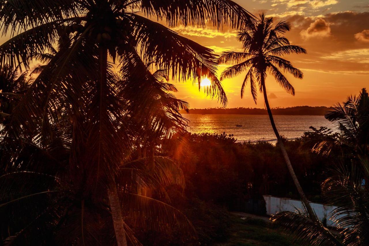 The Surfer Sri Lanka - Surf Camp Hotel Weligama Exterior photo