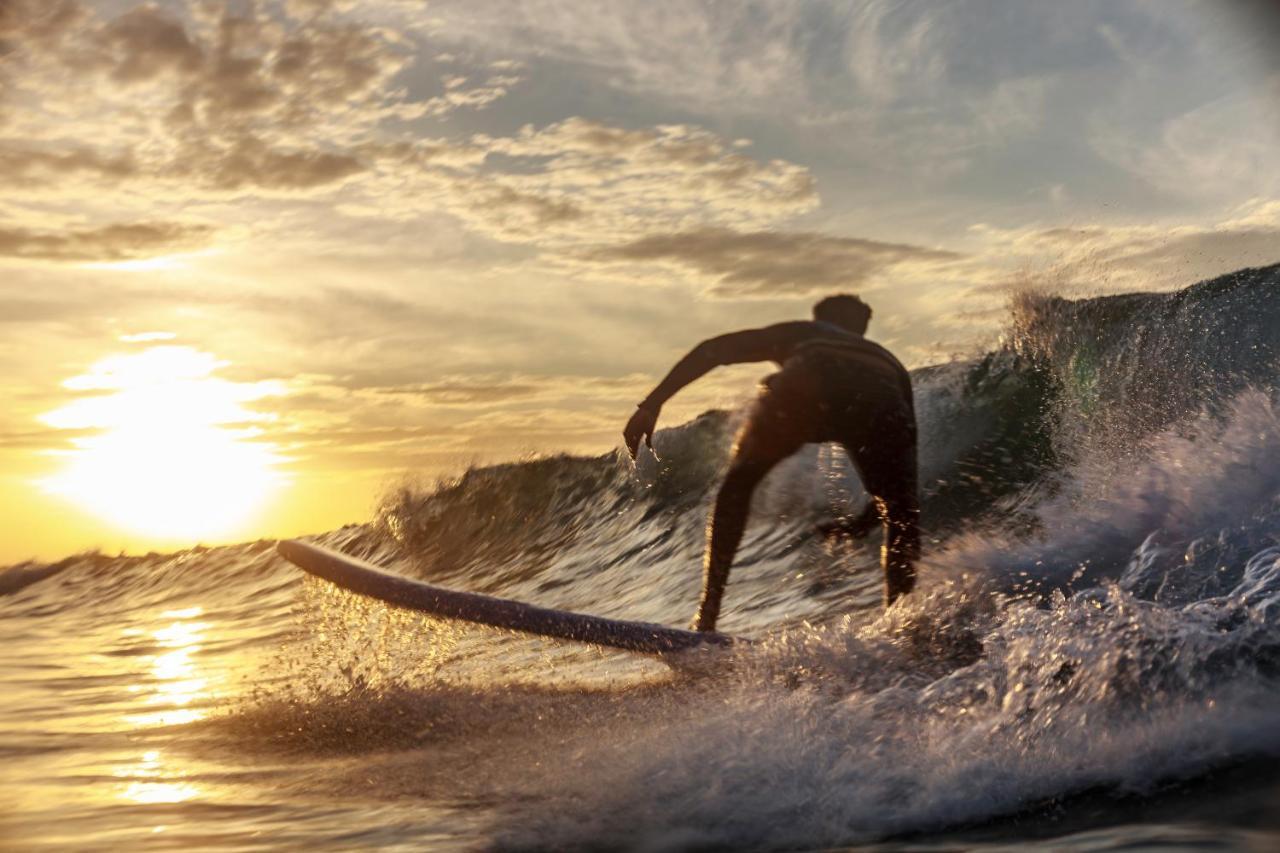 The Surfer Sri Lanka - Surf Camp Hotel Weligama Exterior photo